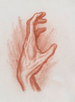 Human Hand 5 - Version 2